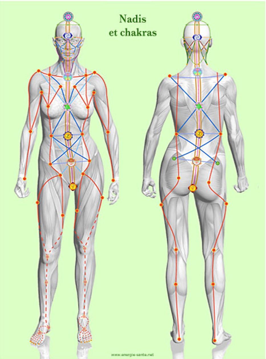 Nadis et chakras